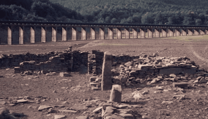 Empty reservoirs, ladybirds and sunstroke: remembering the UK heatwave of 1976