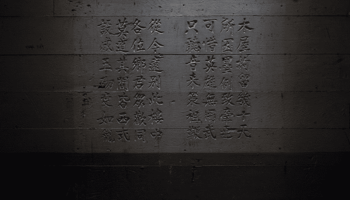 The Meaning of Alienage for Wong Kim Ark
