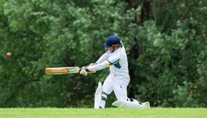 Why willows put the rest in the shade when cricket goes planting trees