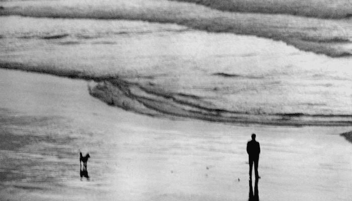 Philosophical reflection often begins with a disruptive mood