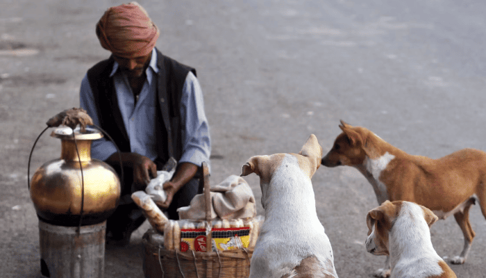 Street dogs_ Why India can’t — and shouldn’t — evict its canines