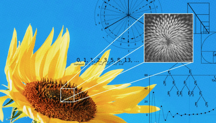 The hidden mathematics behind why you find things beautiful