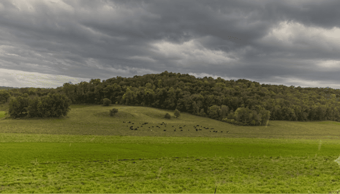 A Prairie Enthusiast in Search of a Farming Land Ethic